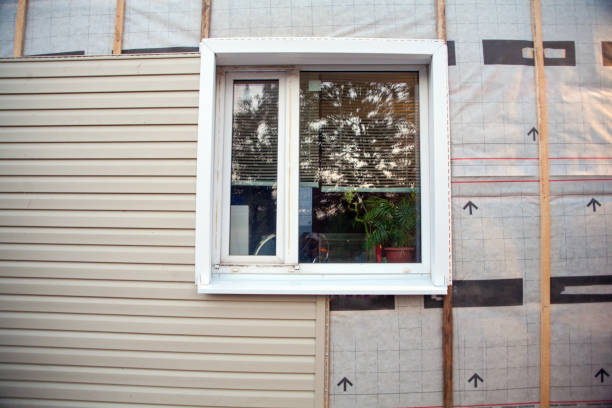 Affordable Siding Repair and Maintenance Services in Carthage, TX